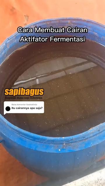 Cara-Membuat-Cairan-Aktifator-Fermentasi